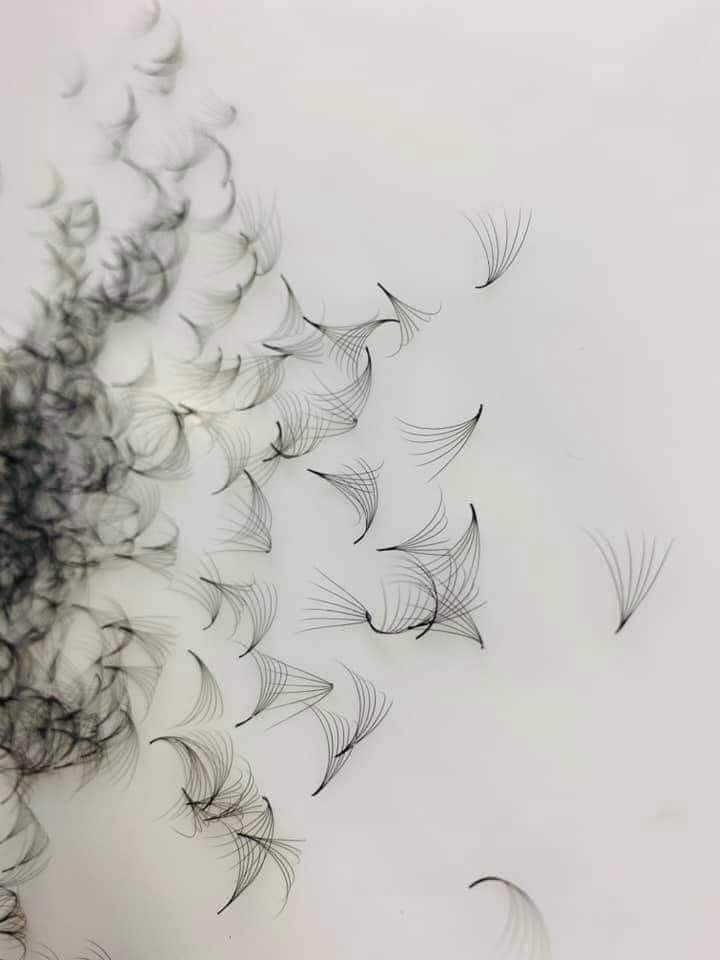 Mi fan 7D hộp 1000 fan