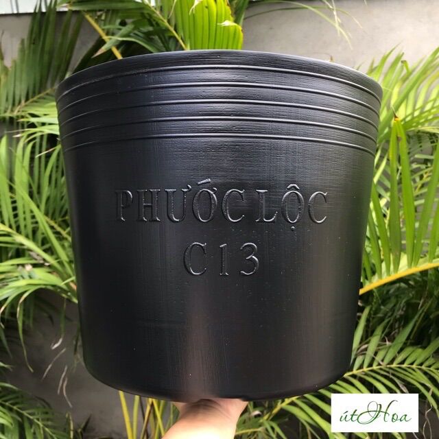 Chậu nhựa đen C13(35x29cm) trồng cây (hàng dày dặn)