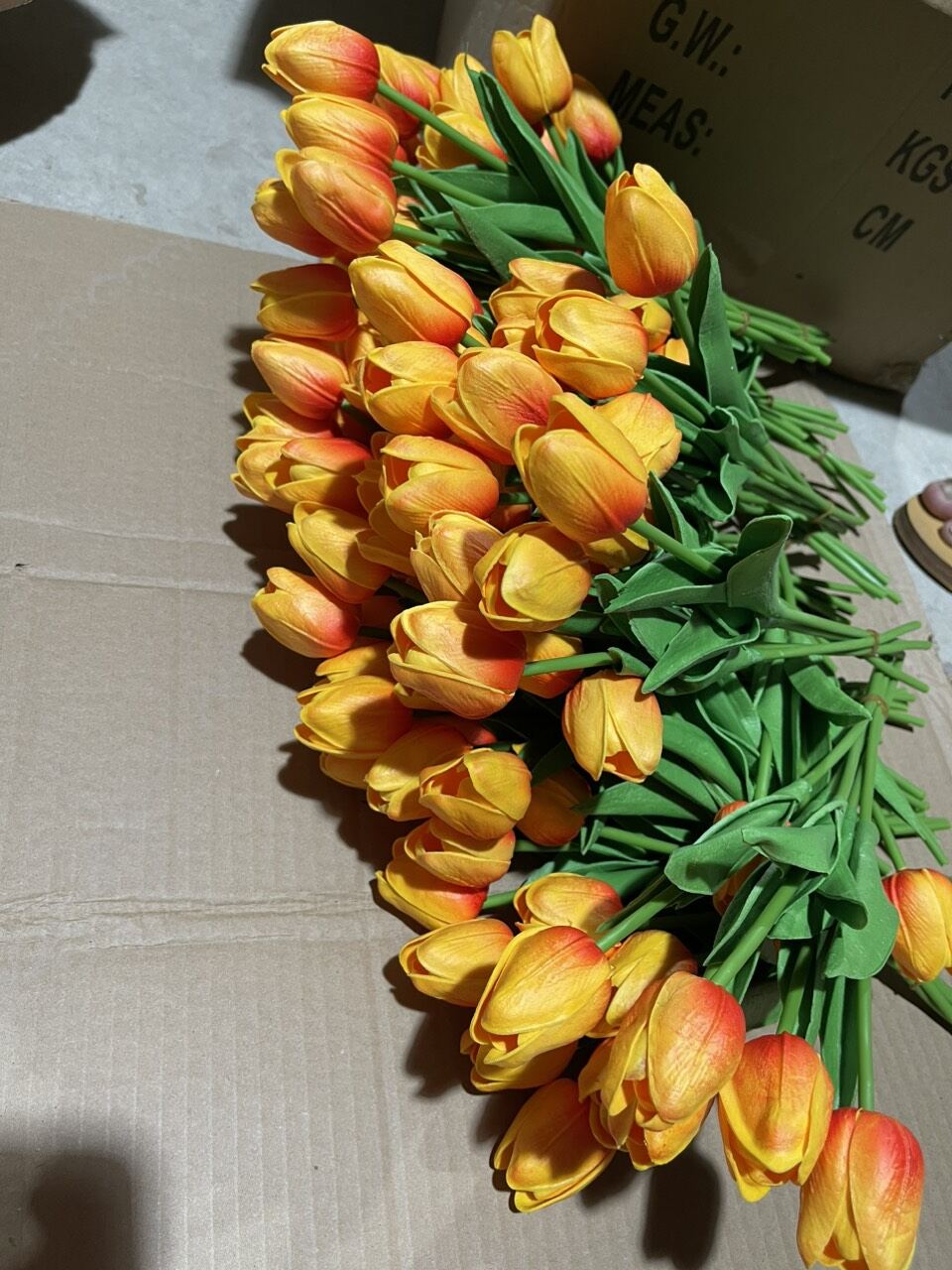 Hoa tulip cao su