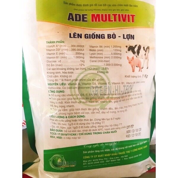 Kích thích lên giống bò, lợn