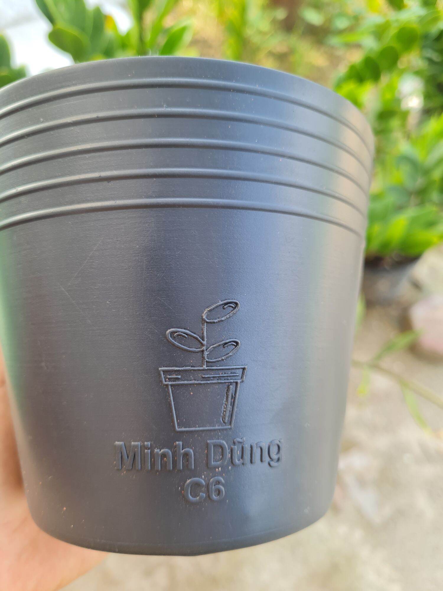 Bầu cứng ươm cây C6 kt 14x11cm