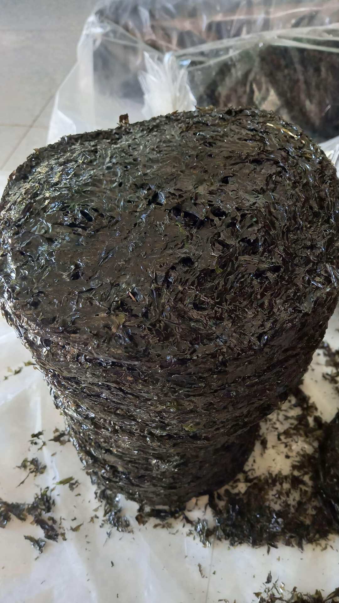 RONG MỨT BIỂN KHÔ ĐẶC SẢN QUY NHƠN ( TÚI 100G KHOẢNG 10 BÁNH)