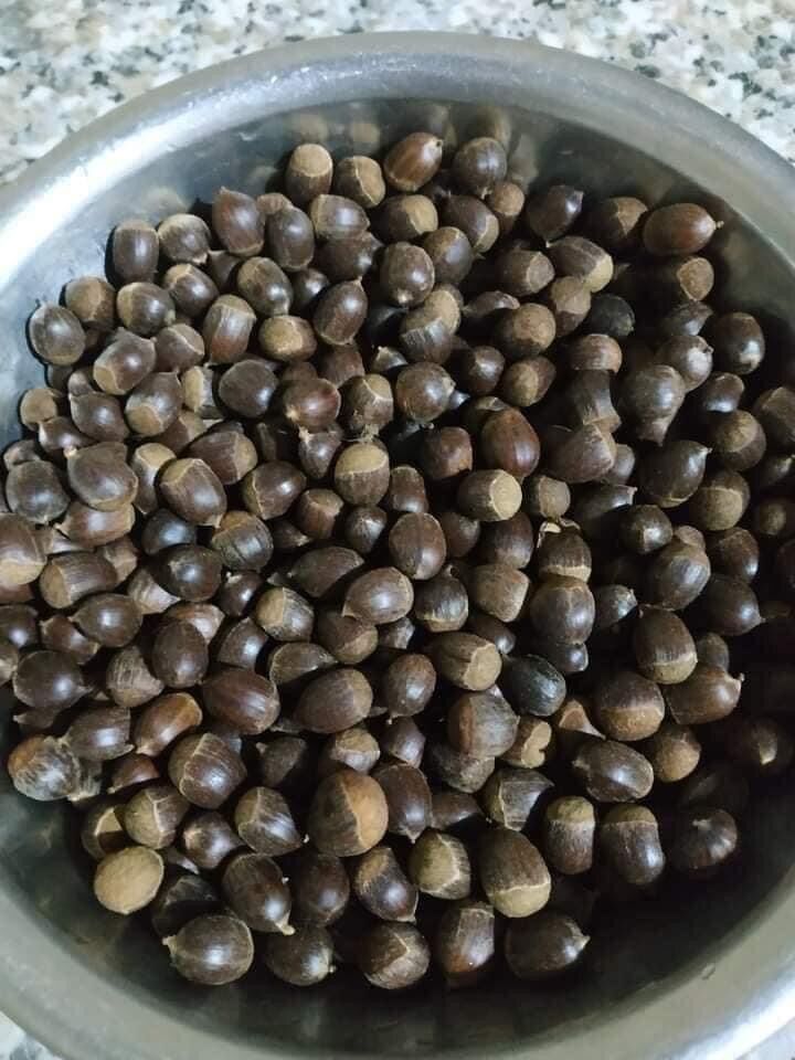 1kg hạt dẻ rừng tự nhiên