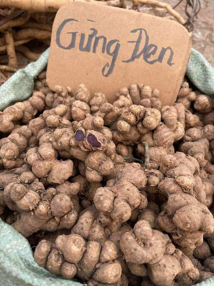 gừng đen (ngãi đen) củ mọc lâu năm 500g