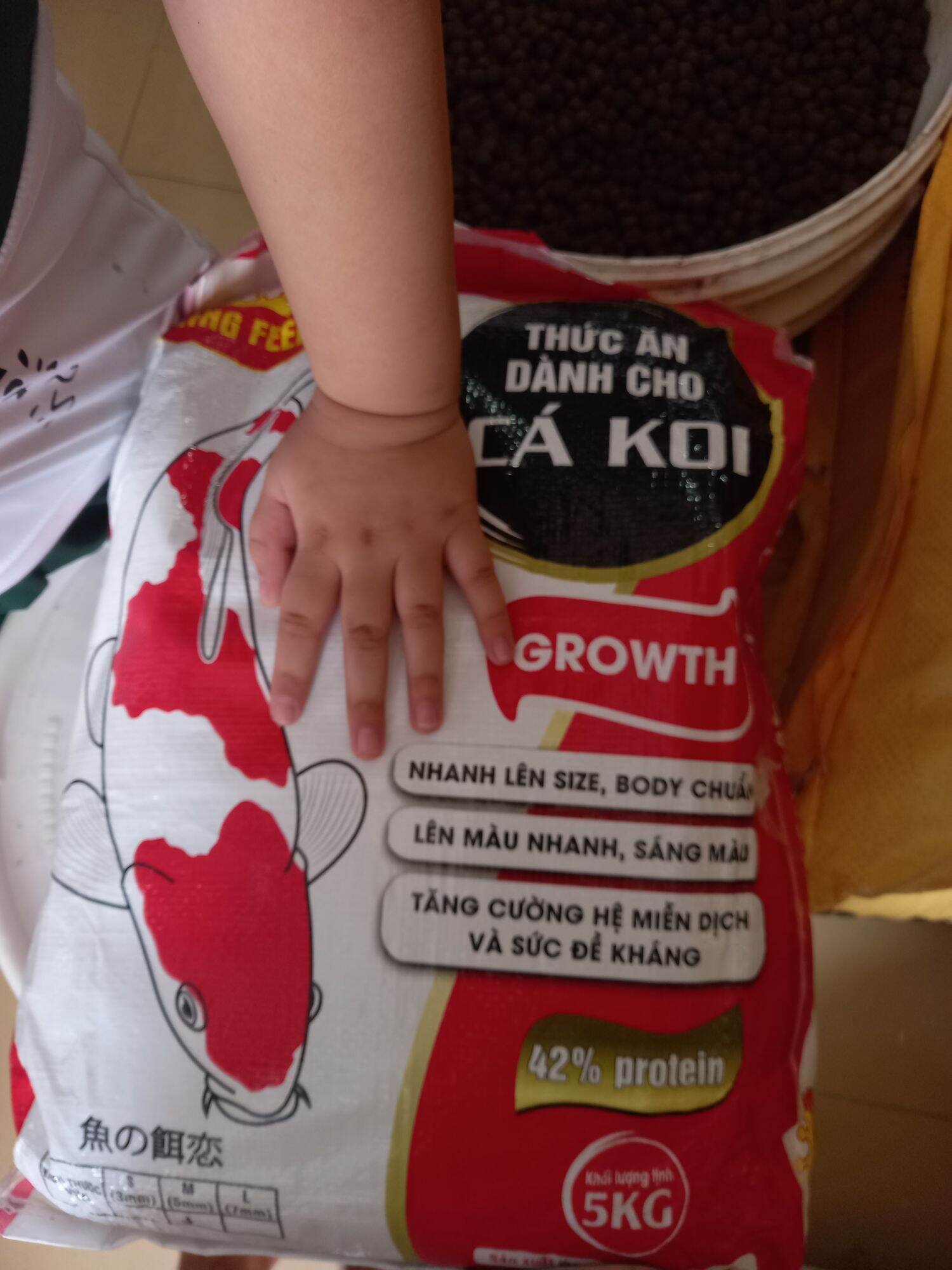 Thức ăn chuyên cho cá koi 1kg/ gói hiệu Kingfeed