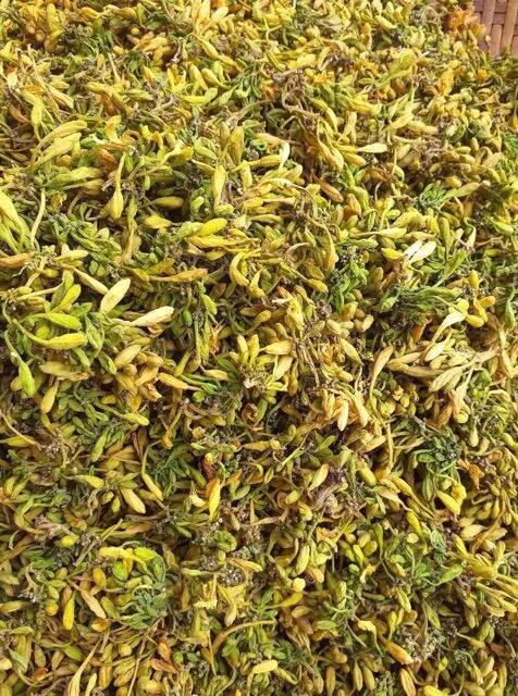 1kg hoa đu đủ đực phơi khô tự nhiên