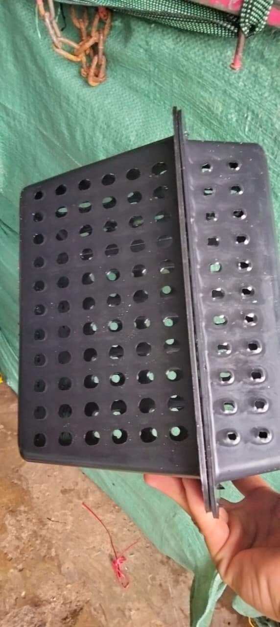 Hộp nhựa nuôi cua biển dưới ao nuôi trong bể kích thước 22×28×20 hộp nhựa nguyên sinh dẻo dày cua kẹp không đứt