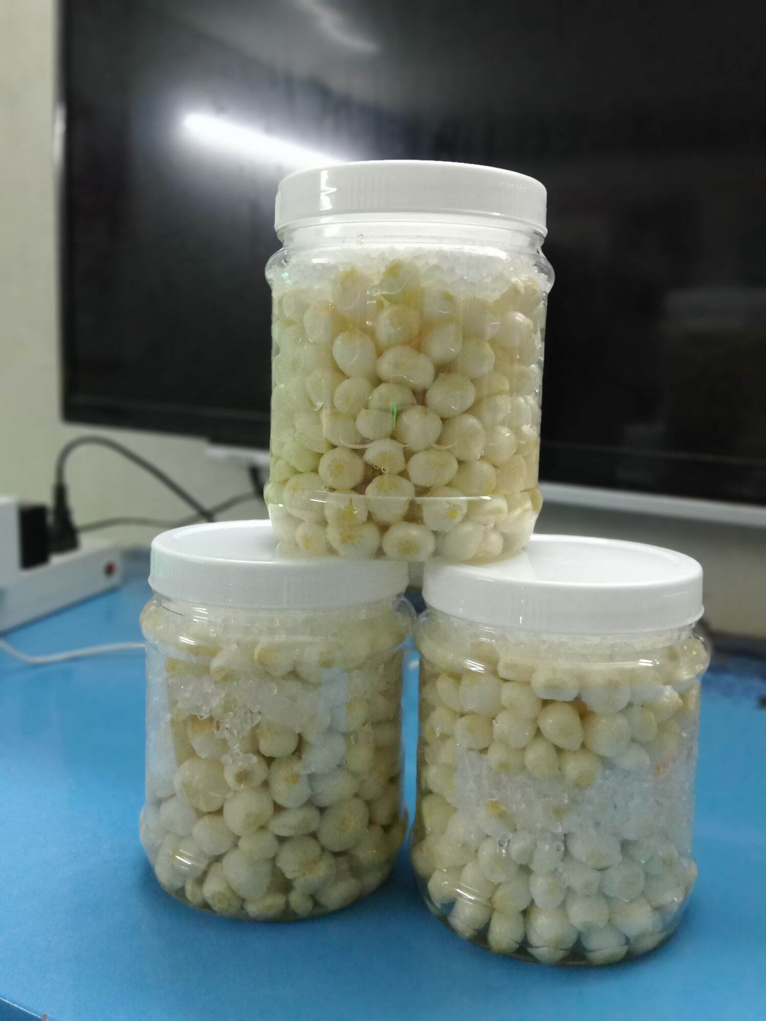 củ kiệu Quế ngày tết Bà Gái