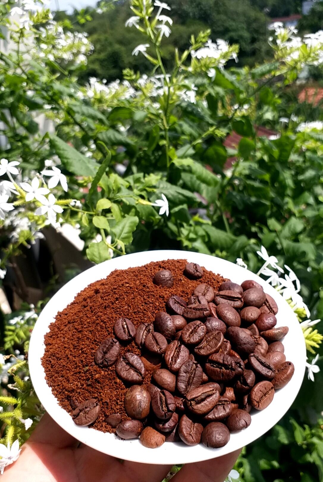 Cà phê bột nguyên chất Robusta pha phin RO-2 (500gr)