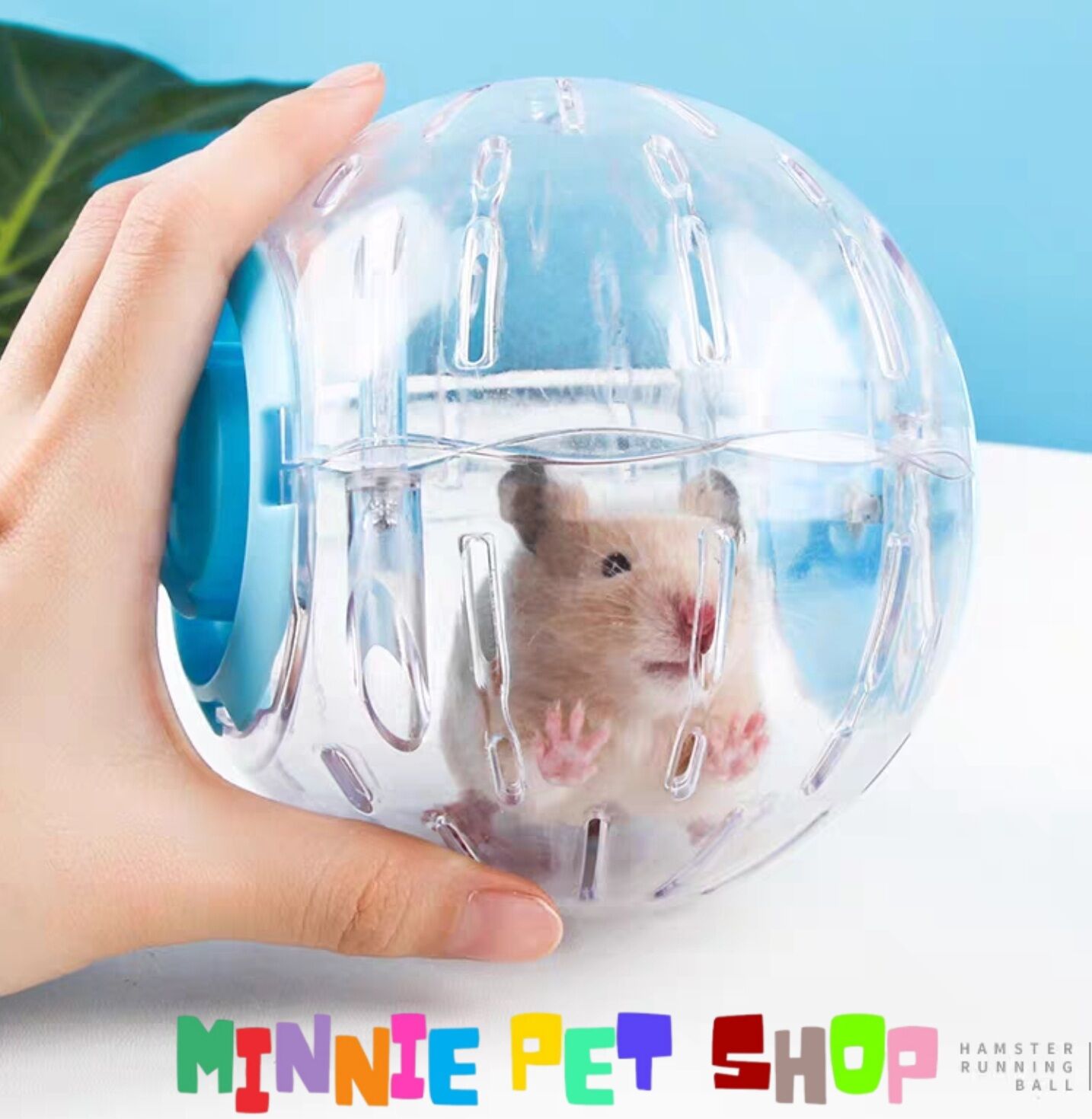 Banh chạy trong nhà mica trong suốt cho Hamster, Sóc Bông, Sóc Bay Úc...