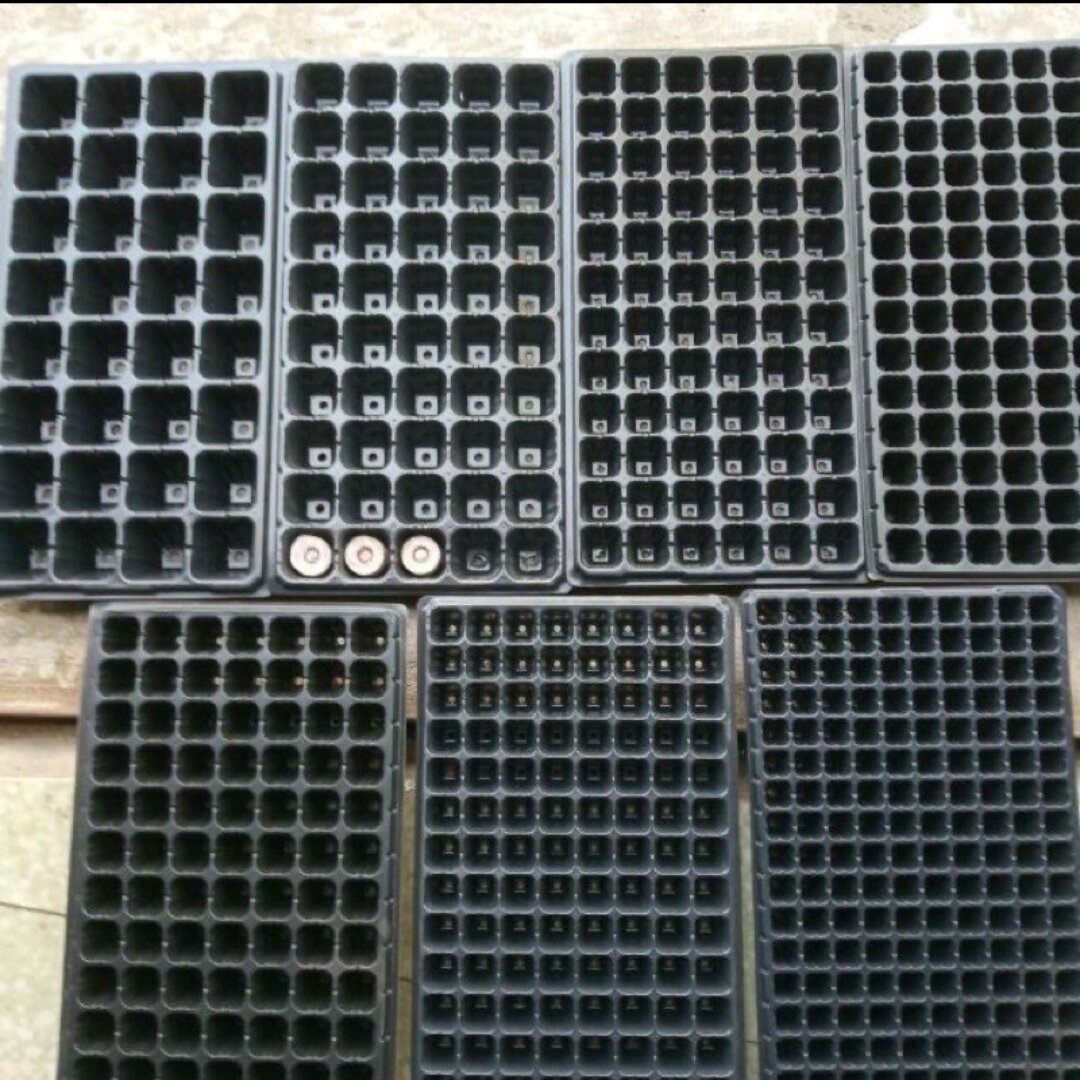 Khay ươm hạt, giâm cành loại 50 lỗ, 72 lỗ, 105 lỗ giá rẻ chất lượng