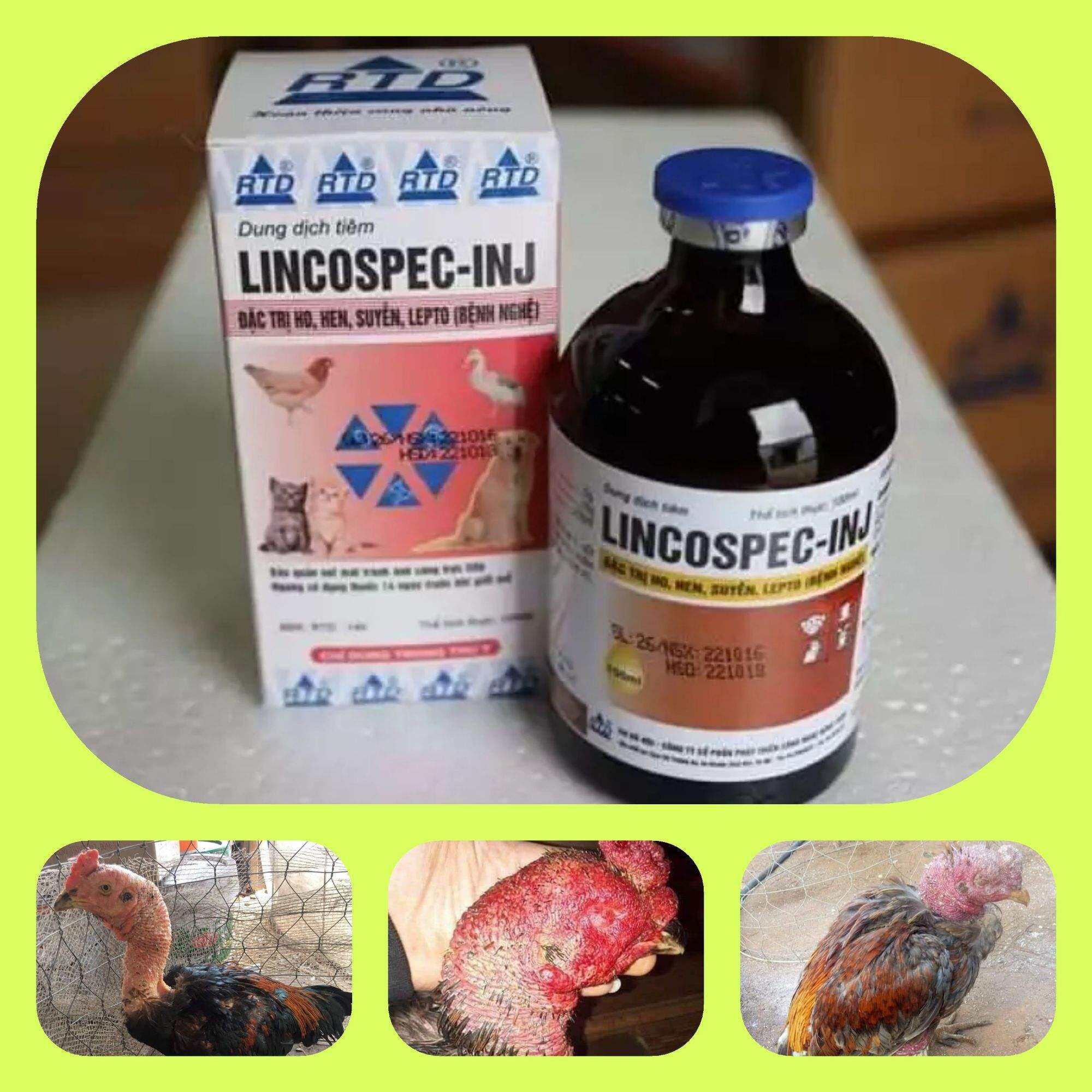 LINCOSPEC - INJ ( 20ml ) --  dùng gà khò khè -- phân xanh -- chích tan máu bầm nhanh khô tan cho gà sau đá ( lọ 20 cc )