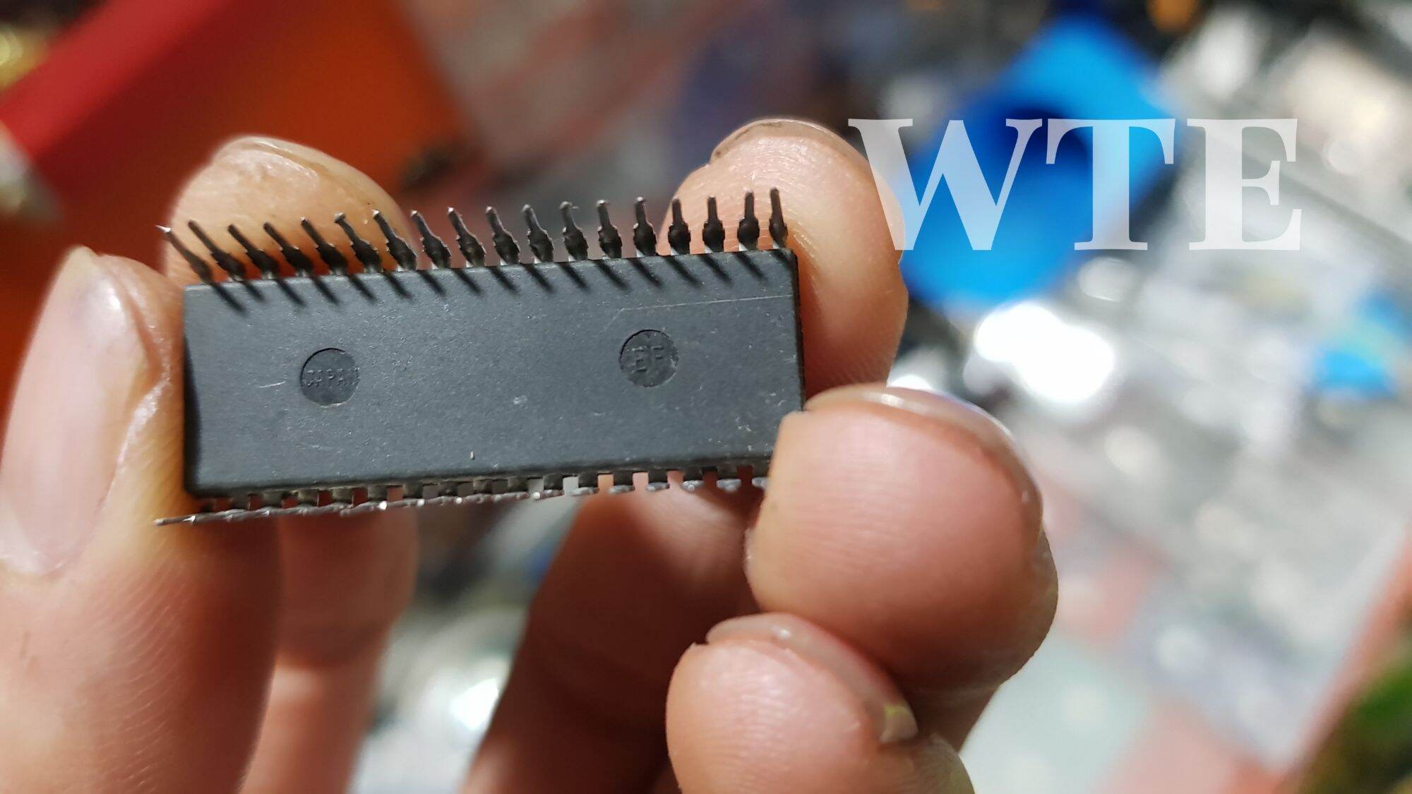 IC ECHO 50195 CHÍNH HÃNG HÀNG THÁO MÁY CHUẨN