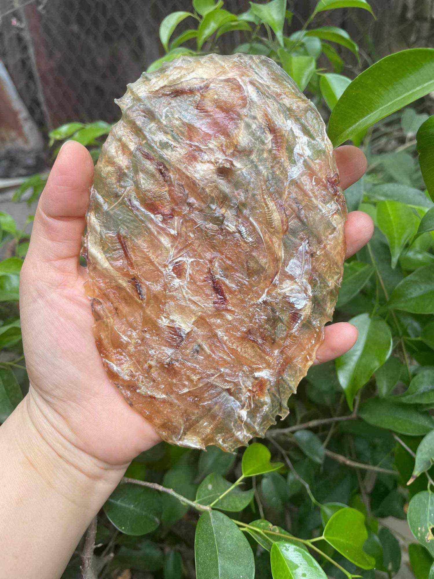 Khô cá bò ép dai ngon vừa ăn 500g