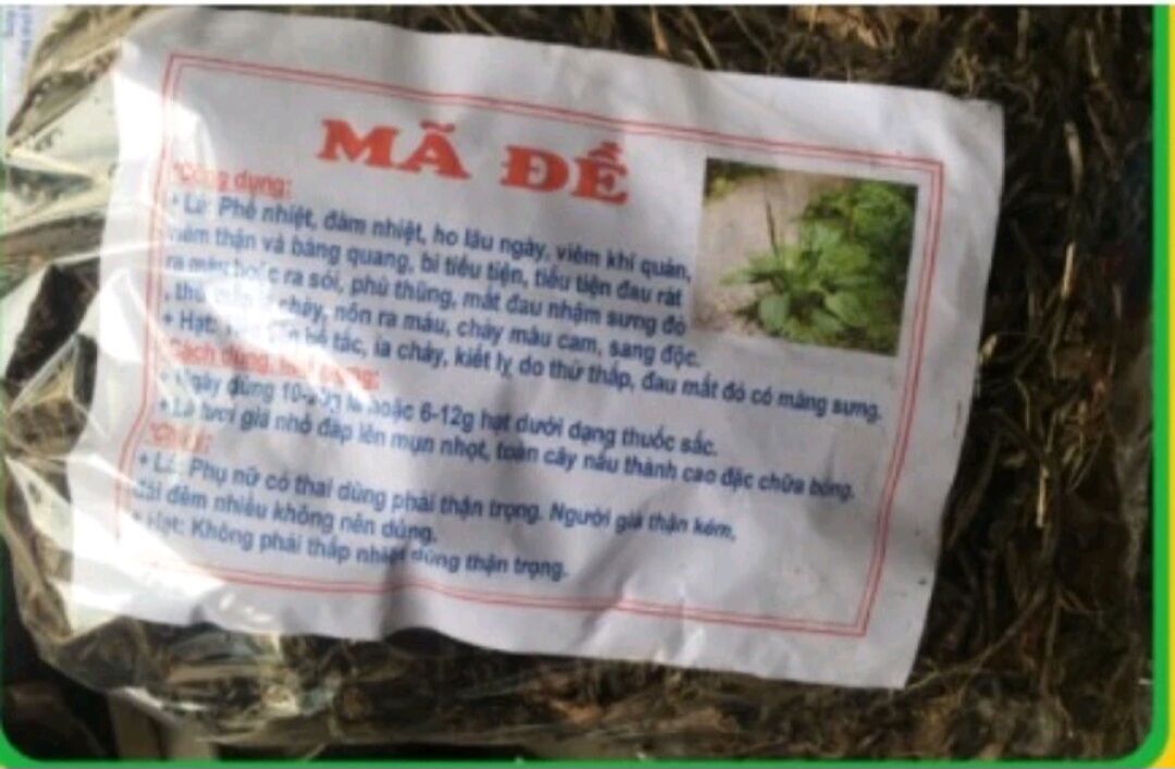 [ GIÁ SỈ ] 1Kg cây MÃ ĐỀ khô thơm sạch _ md01