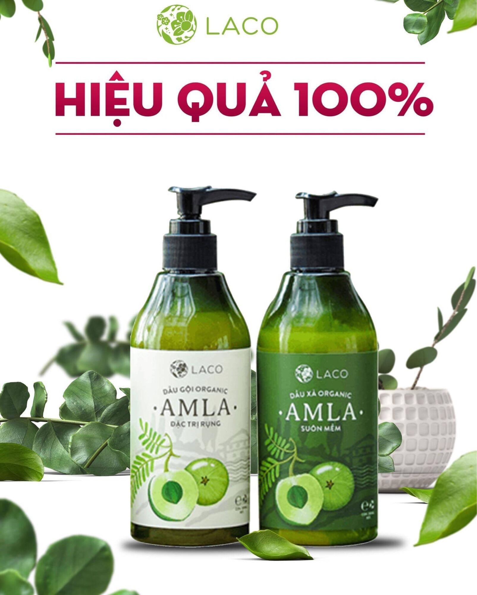 Bộ Sản Phẩm Dầu Gội Dầu Xả Amla Laco Kích Mọc Ngăn Rụng Tóc Chính Hãng