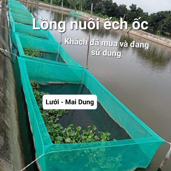 Lồng nuôi ếch, vèo lưới nuôi ốc ếch cá