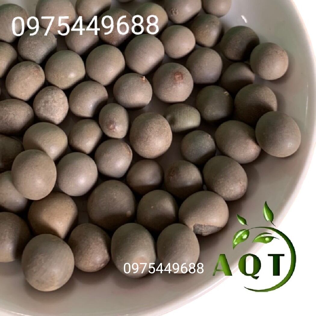 Combo 2kg hạt mắc mèo chuẩn . lh 0975449688