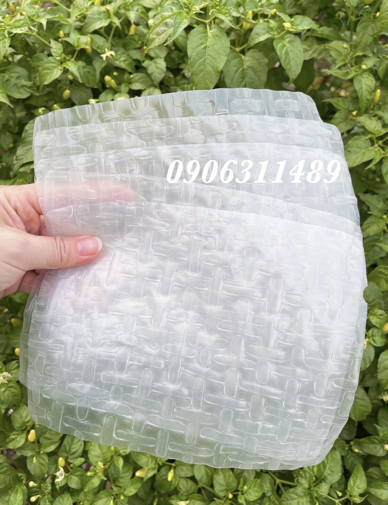 [HCM]Đặc Sản Bánh Tráng Cuốn Củ Chi-1ký