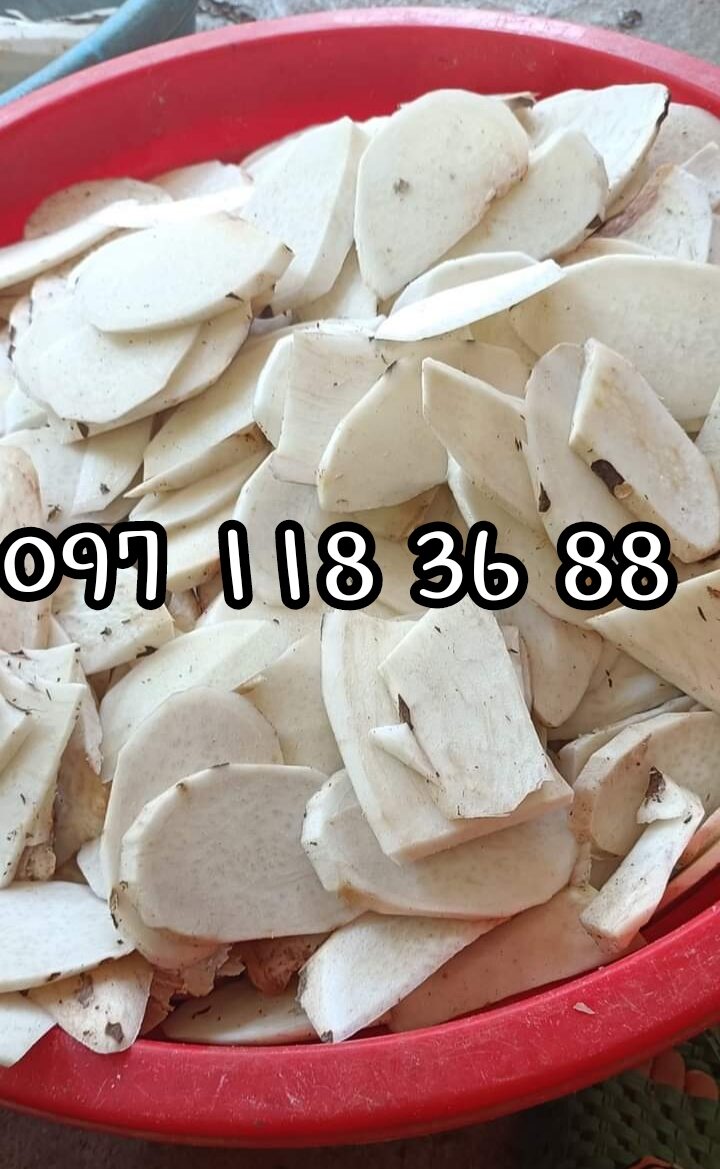 Củ bạc hà núi phơi khô, (ráy dại ráy rừng )hàng chuẩn xin