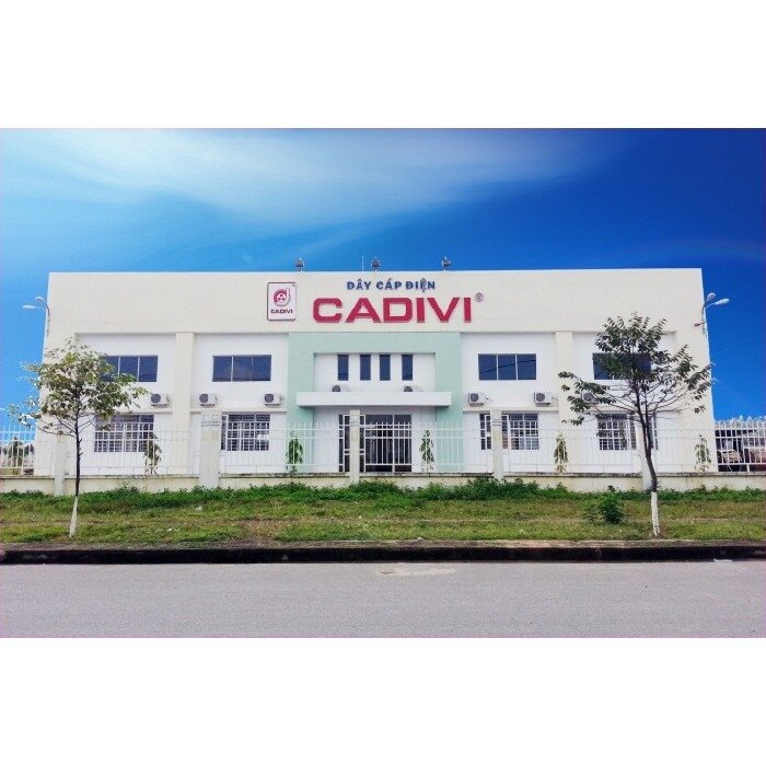 Dây điện đơn 4. Cadivi 1 mét