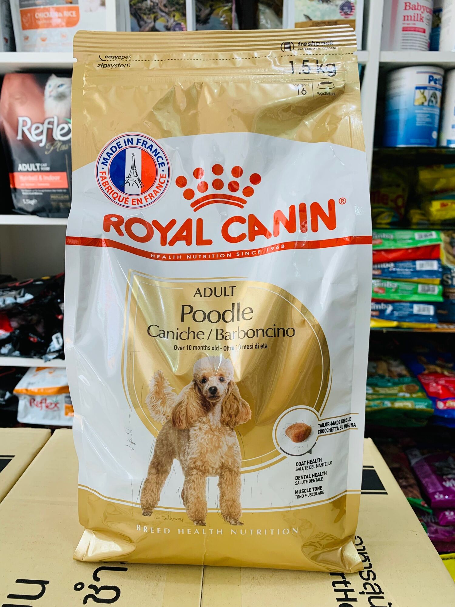 Thức ăn hạt cho chó trưởng thành giống Poodle Royal Canin Poodle Adult 1