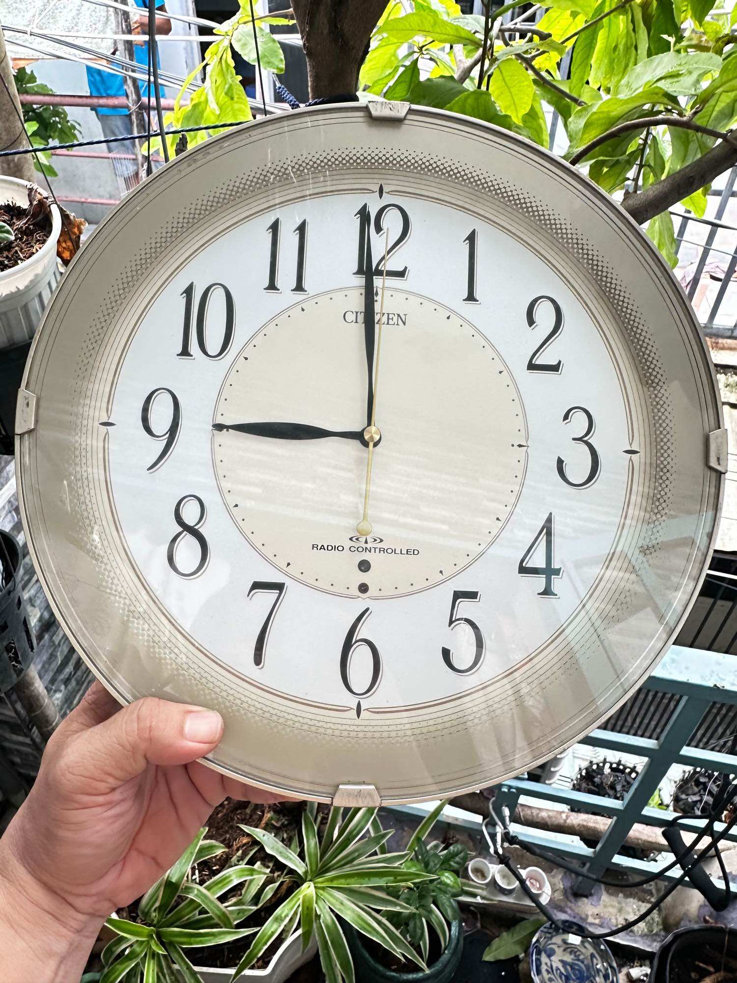 Đồng hồ treo tường citizen nội địa nhật