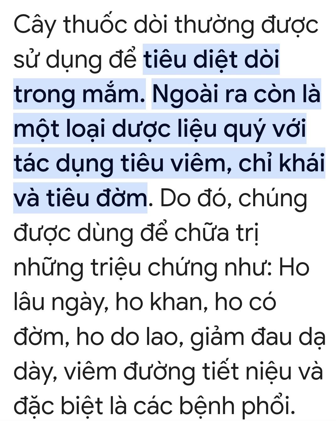 Combo 3 chậu dòi thân tím (mỗi chậu 10 cây)