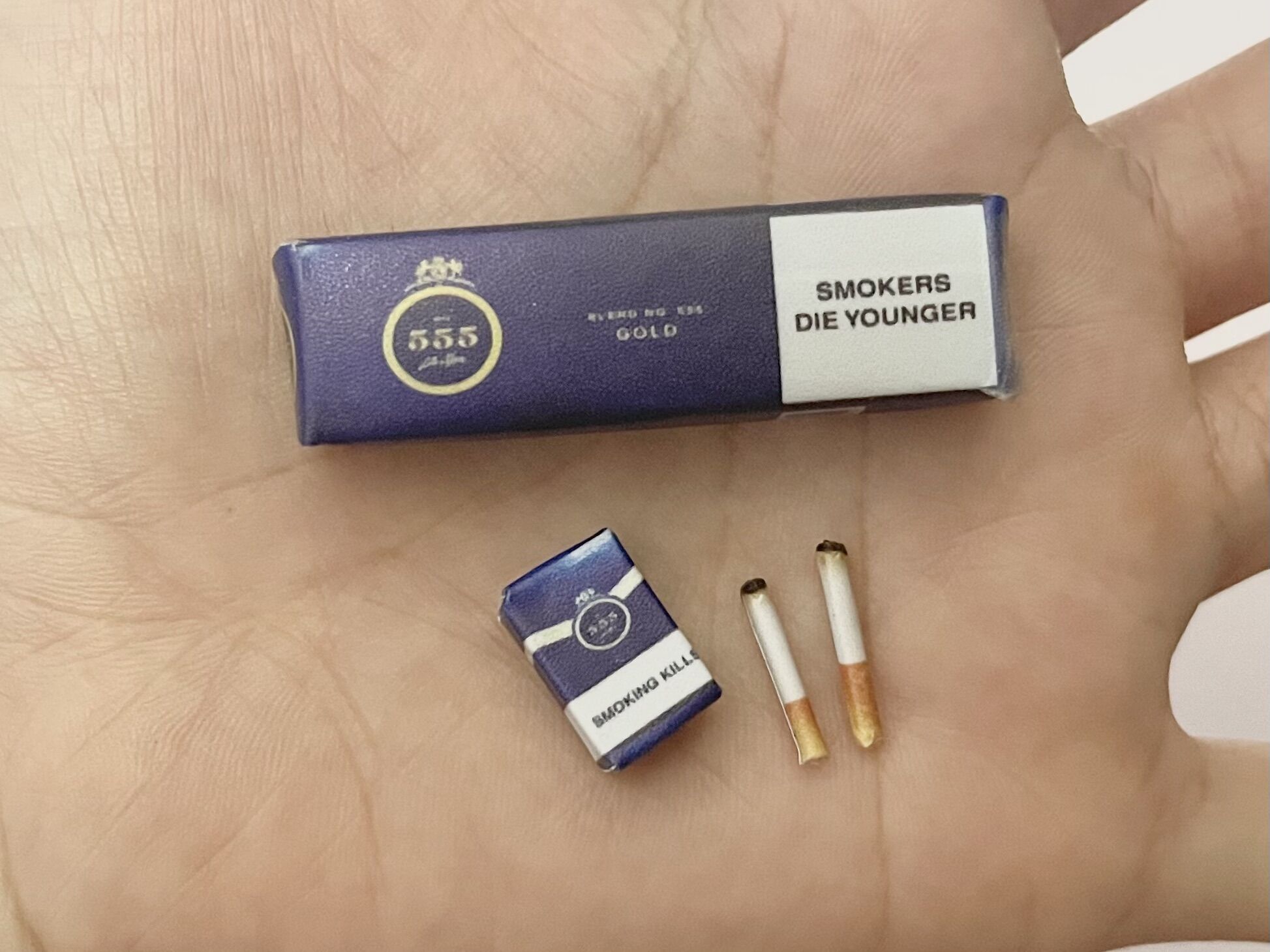 mô hình set thuốc 1/12