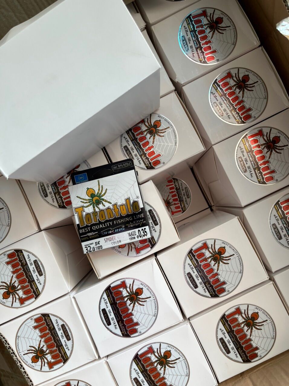 CƯỚC CÂU CÁ TARANTULA 100m – NHỆN