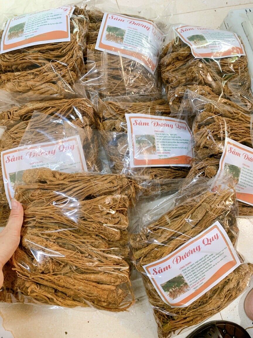 500gram sâm đương quy khô