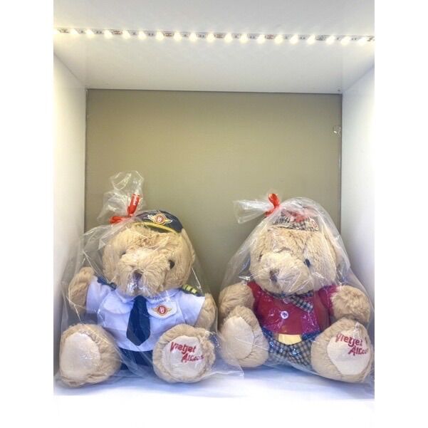 [HCM]Gấu bông Vietjet