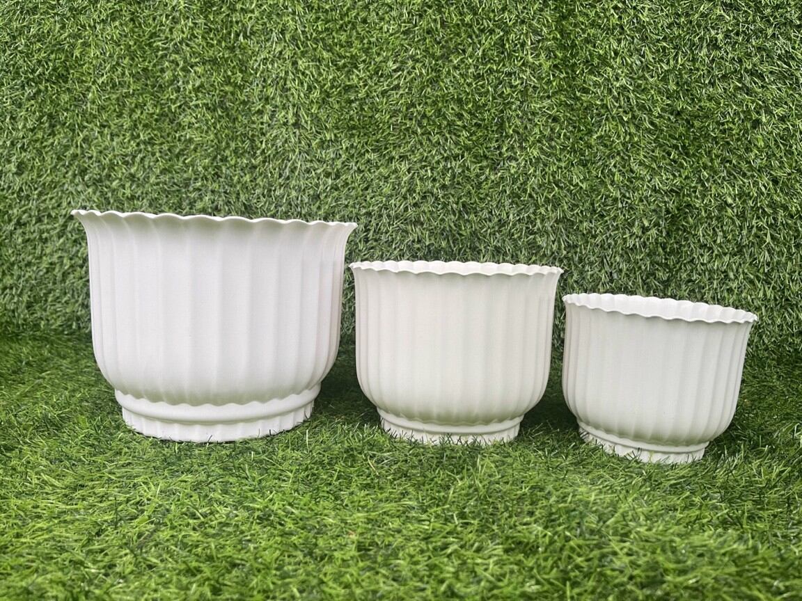 Combo 5 chậu sọc trắng để bàn kt miệng 17cm