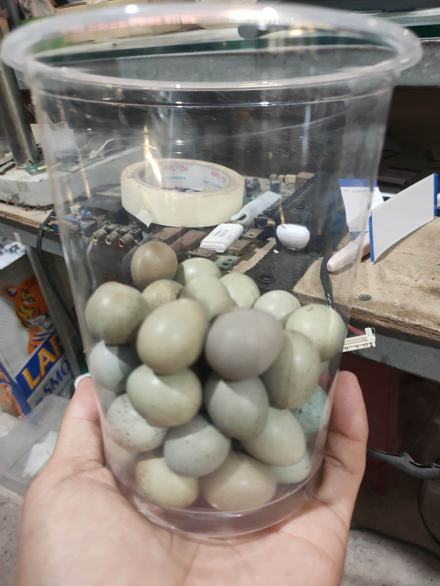 Combo 10+2 trứng gà rutin có cồ để ấp- Bảo hành tỉ lệ có cồ 80%