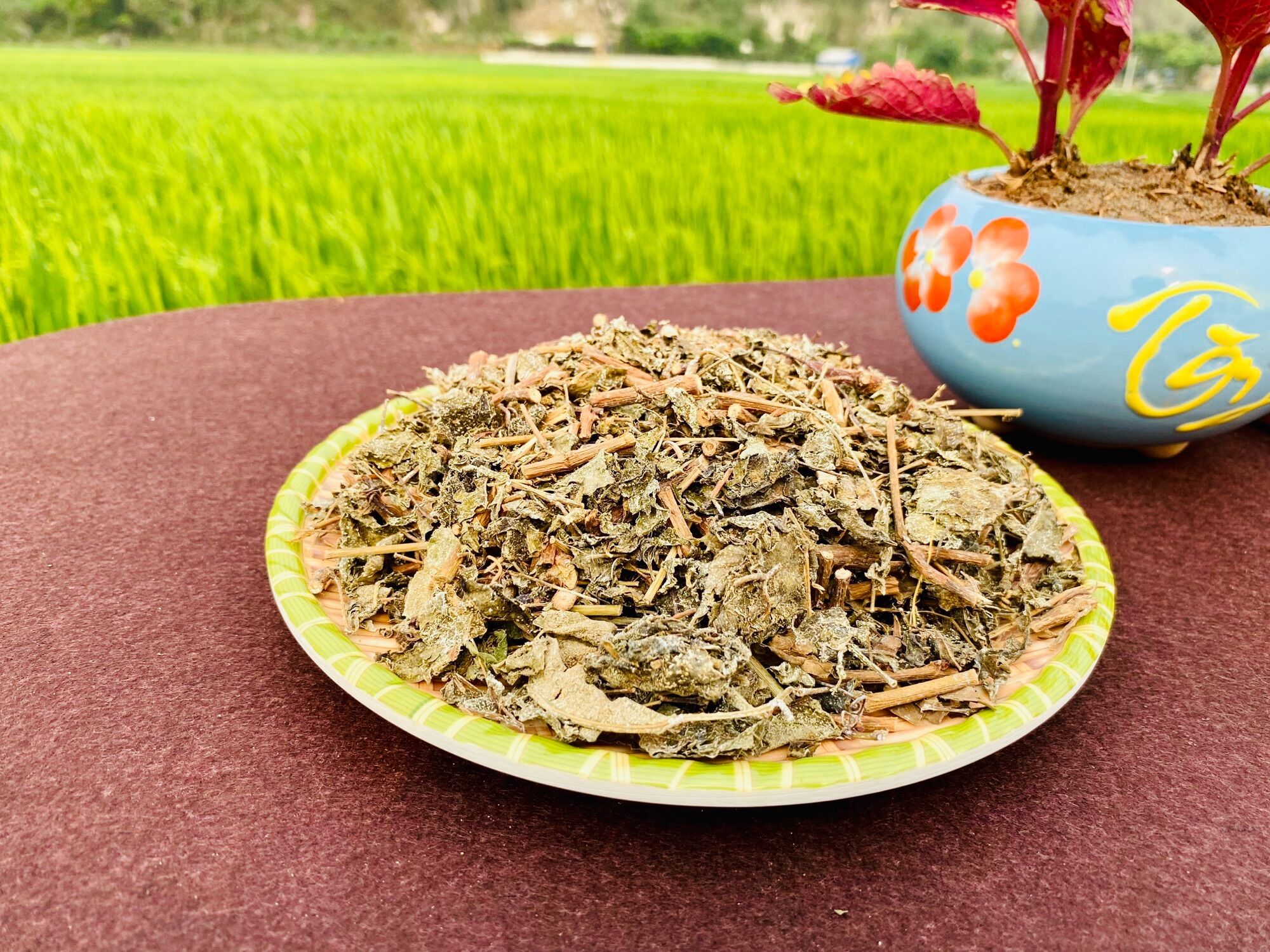 CHÈ DÂY CAO BẰNG - LOẠI ĐẸP 1KG