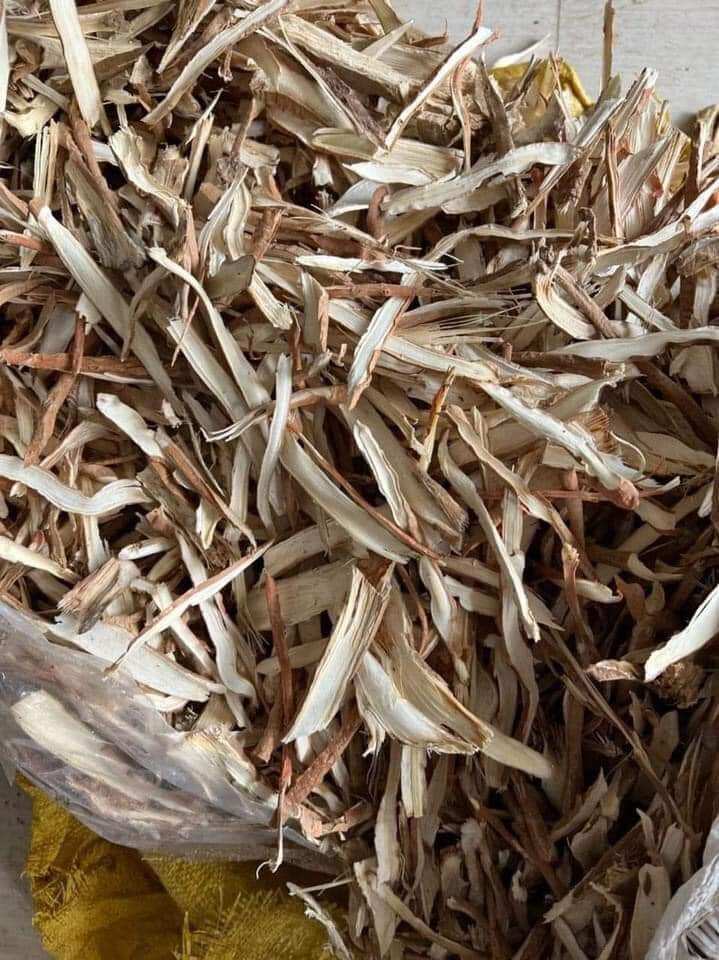 Sâm cau ngâm rượu 1kg