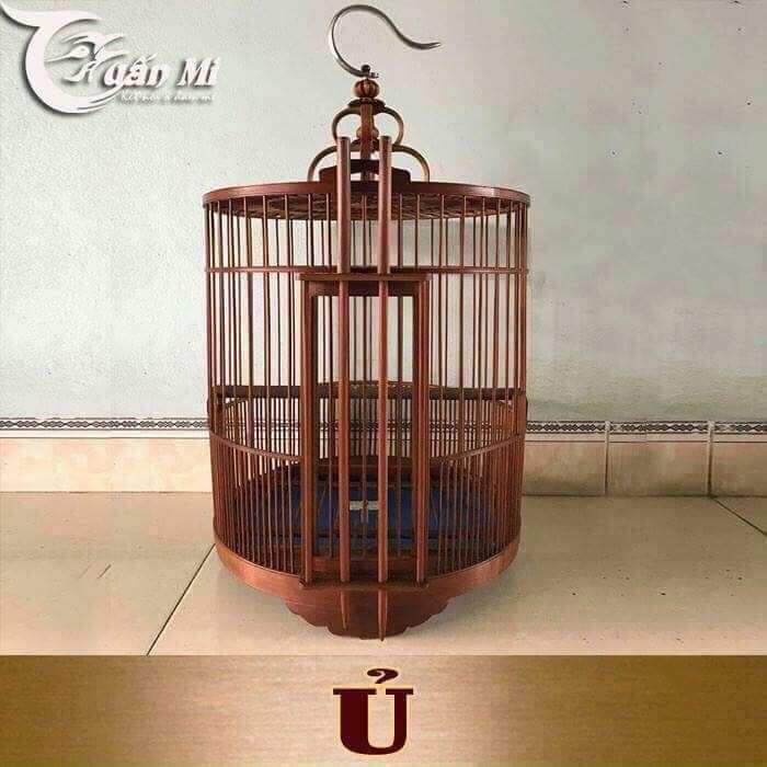 Dầu Ủ Lồng ( Tuấn Mi )