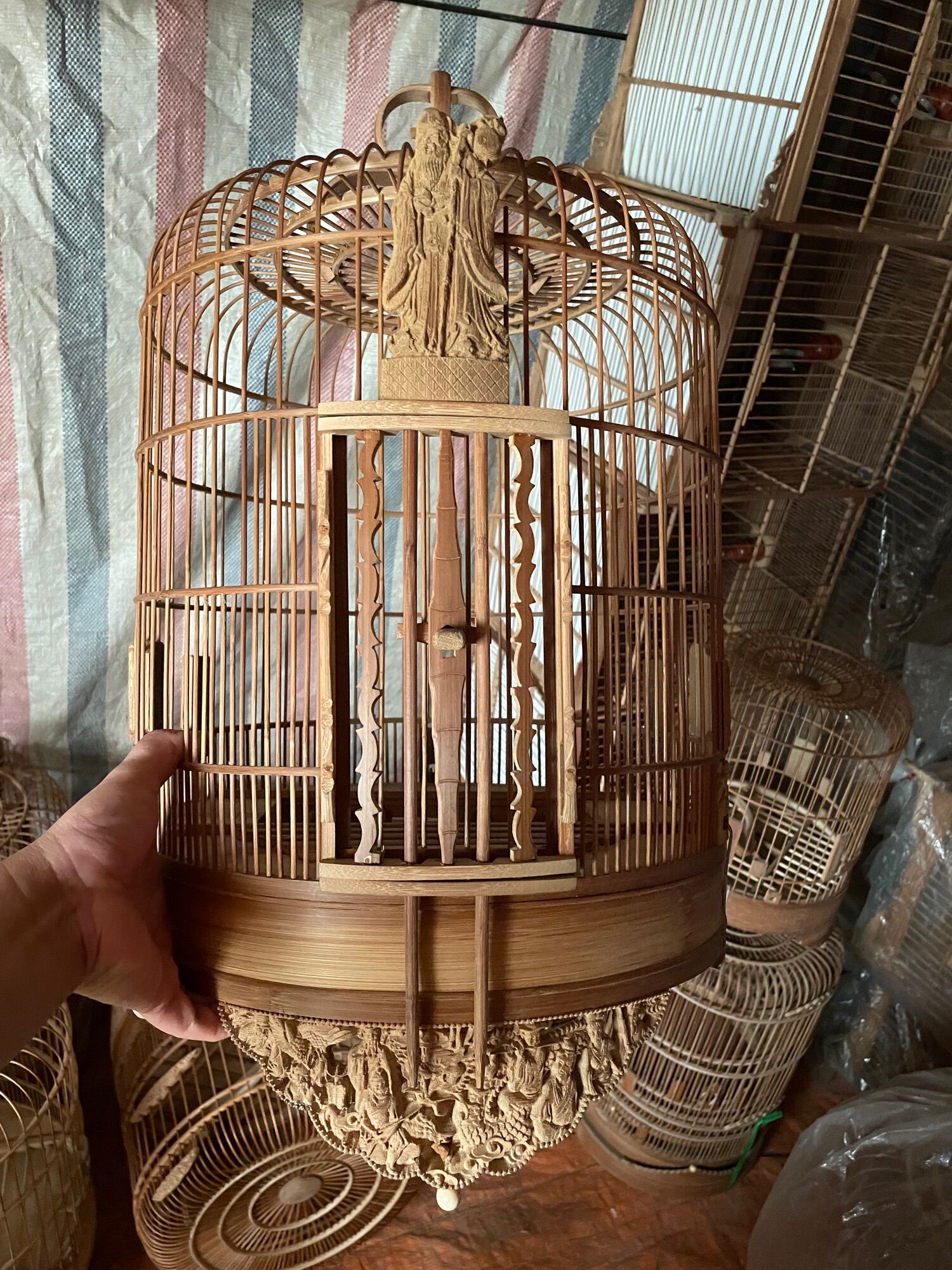 LỒNG Chim mi đục nhiều tích đục