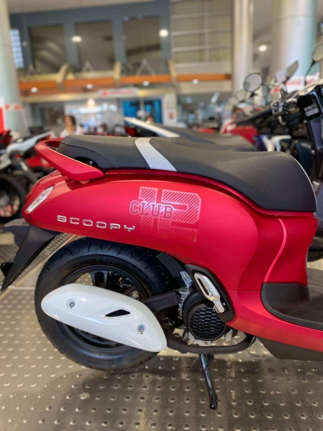 Tem SCOOPY 2021-2022- Tem chữ Scoopy