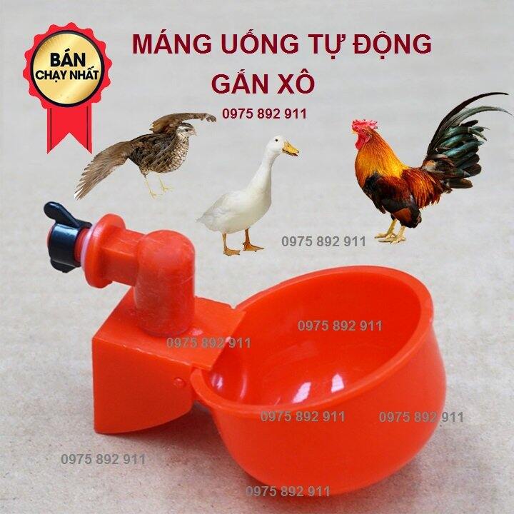 Máng uống cho gà vịt ngan ngỗng, dạnh cốc gắn xô loại to