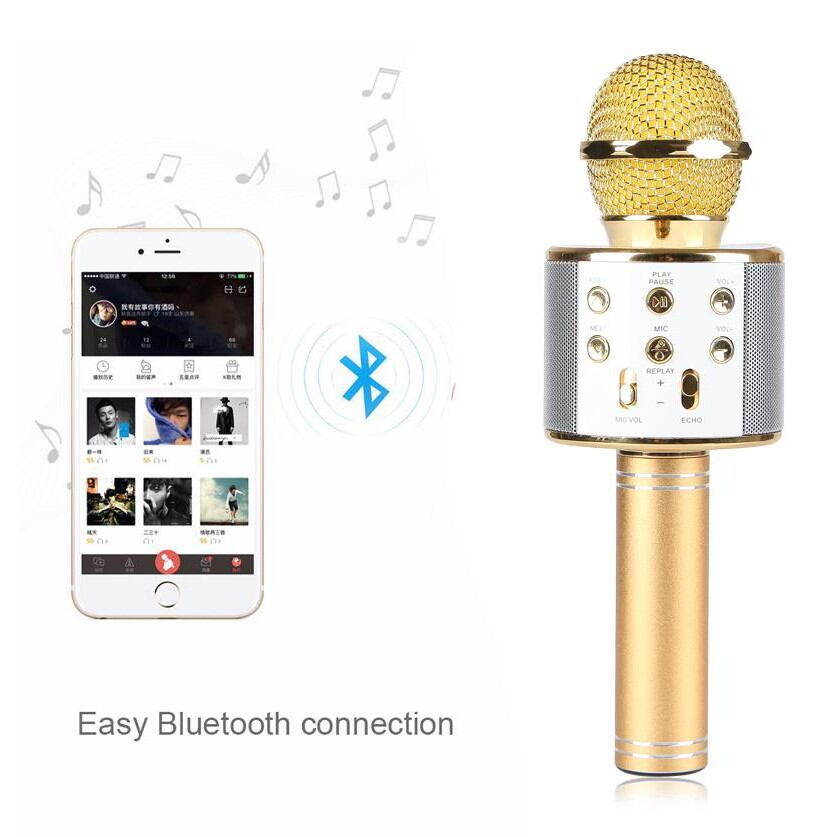Mic kèm loa karaoke WS858