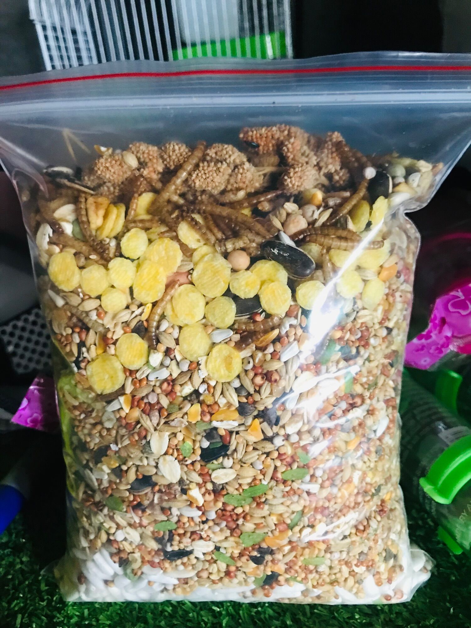 800g Thức ăn đặc biệt cho Hamster hơn 30 thành phần