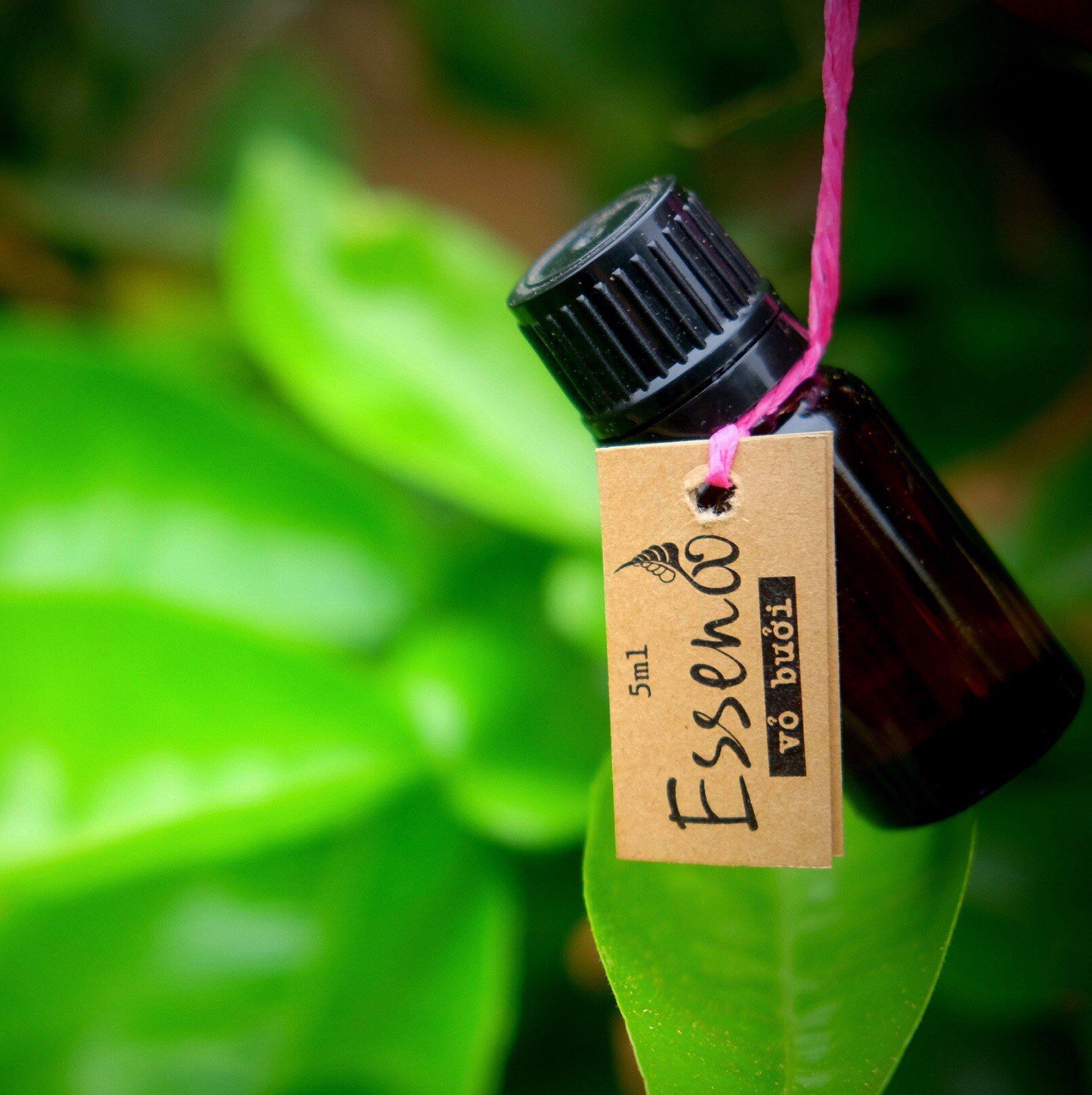 Essenoo - Tinh dầu vỏ bưởi Vietherb 10ml kích thích mọc tóc, có thể dùng làm hương trị liệu hoặc xông phòng