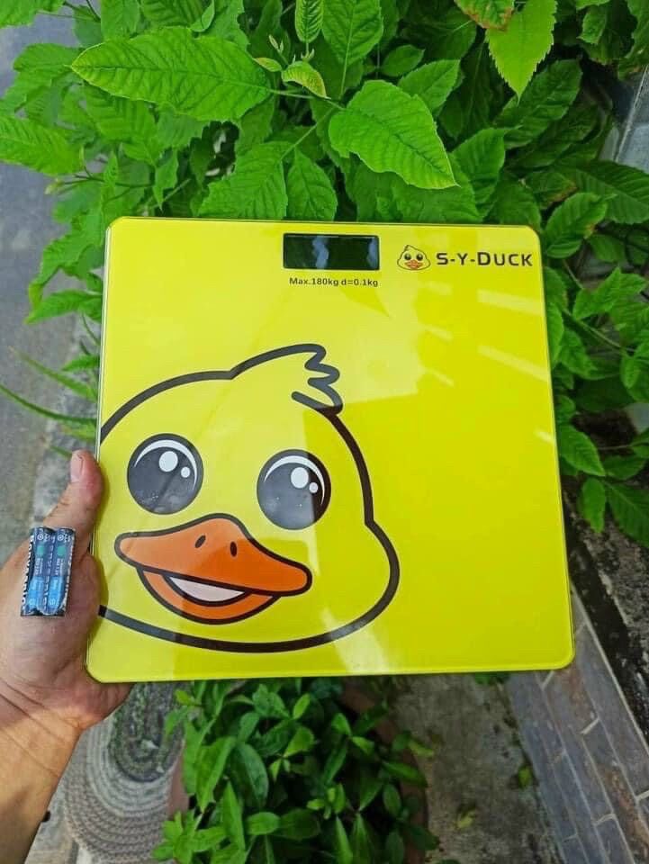—- cân sức khoẻ- vịt vàng