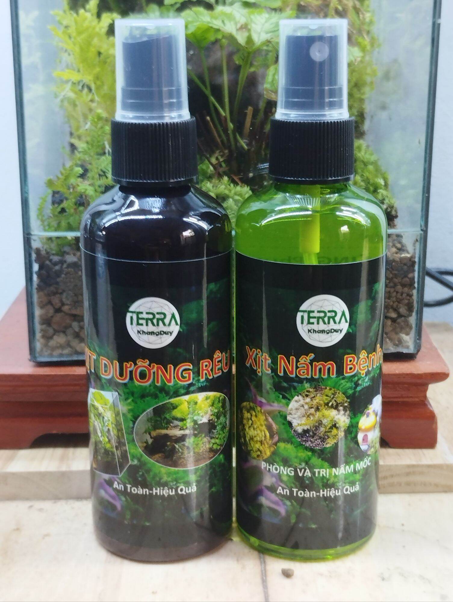 Xịt nấm, dưỡng rêu cây sỉ inb