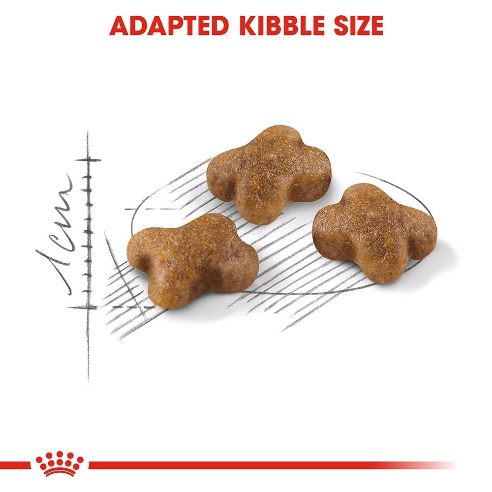 Hạt Royal Canin cho mèo con - túi chiết 1kg