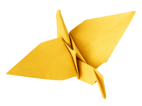 Test mẫu giấy