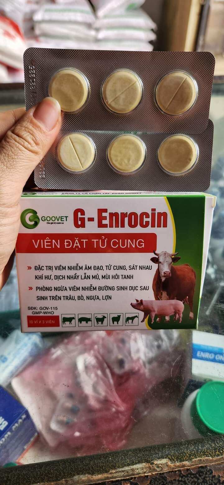 VIÊN ĐẶT TỬ CUNG CHO NÁI 30 viên cho heo bò