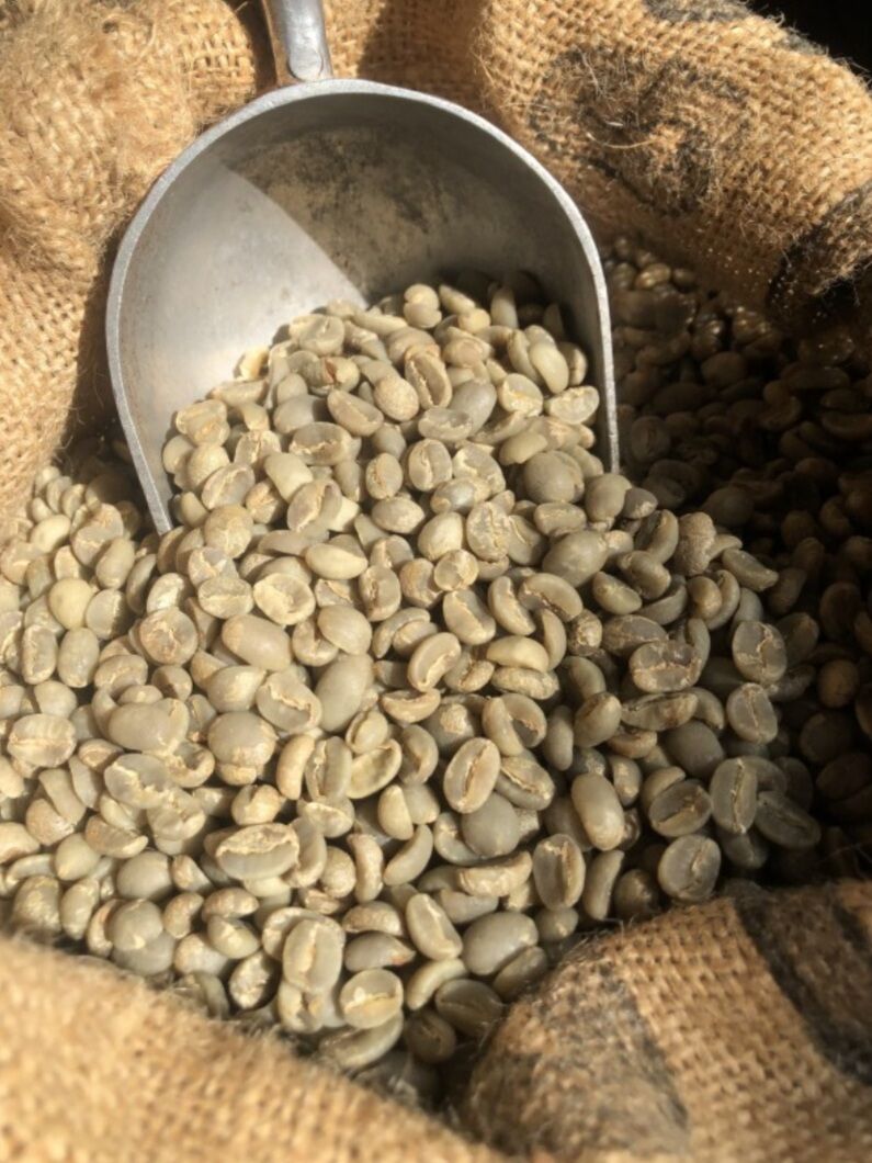 1KG CÀ PHÊ HẠT NHÂN SỐNG CHƯA RANG ROBUSTA NHÂN XUẤT KHẨU