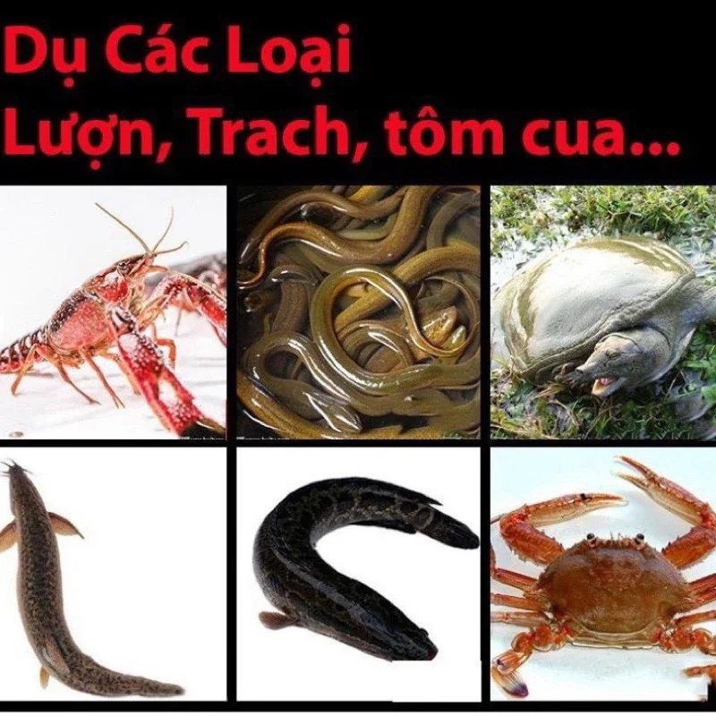 Mồi dụ Tôm, Cua, Cá,Lươn ,Trạch